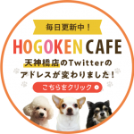 Vol.20 HOGOKEN CAFE